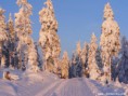 /album/fotogalerie/ze-skritku-na-alfredku-jpg/